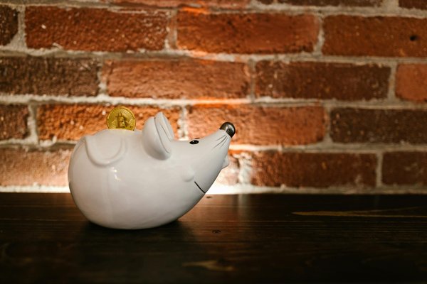 Essential tips for uk homeowners: elevate your basement into chic and functional living areas